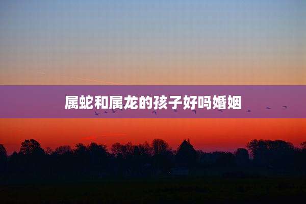 属蛇和属龙的孩子好吗婚姻