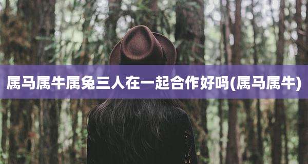 属马属牛属兔三人在一起合作好吗(属马属牛)