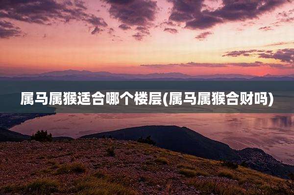 属马属猴适合哪个楼层(属马属猴合财吗)