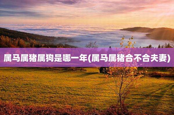 属马属猪属狗是哪一年(属马属猪合不合夫妻)