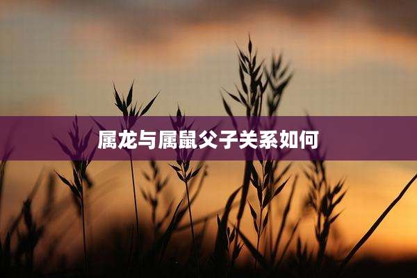属龙与属鼠父子关系如何