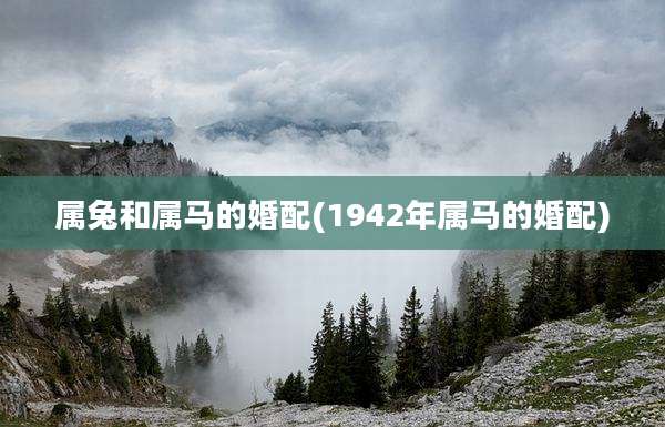 属兔和属马的婚配(1942年属马的婚配)