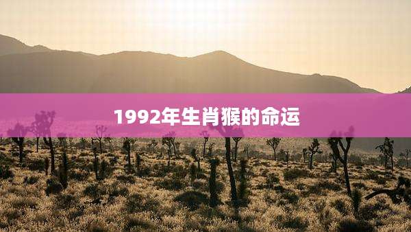 1992年生肖猴的命运
