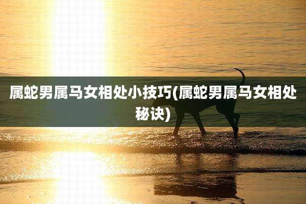 属蛇男属马女相处小技巧(属蛇男属马女相处秘诀)