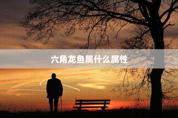 六角龙鱼属什么属性