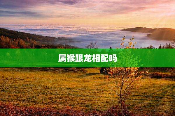 属猴跟龙相配吗