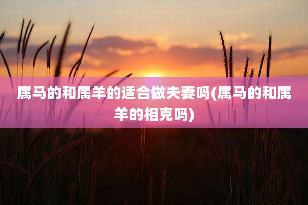 属马的和属羊的适合做夫妻吗(属马的和属羊的相克吗)