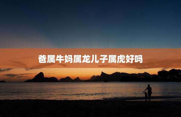 爸属牛妈属龙儿子属虎好吗