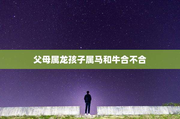 父母属龙孩子属马和牛合不合