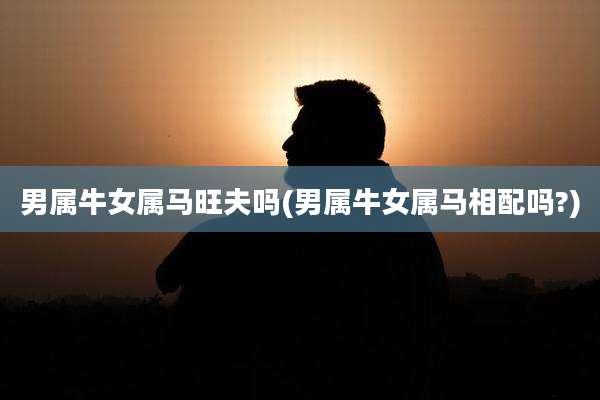 男属牛女属马旺夫吗(男属牛女属马相配吗?)