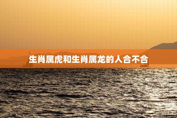 生肖属虎和生肖属龙的人合不合
