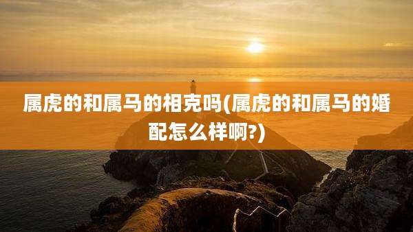 属虎的和属马的相克吗(属虎的和属马的婚配怎么样啊?)