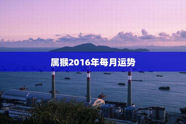属猴2016年每月运势