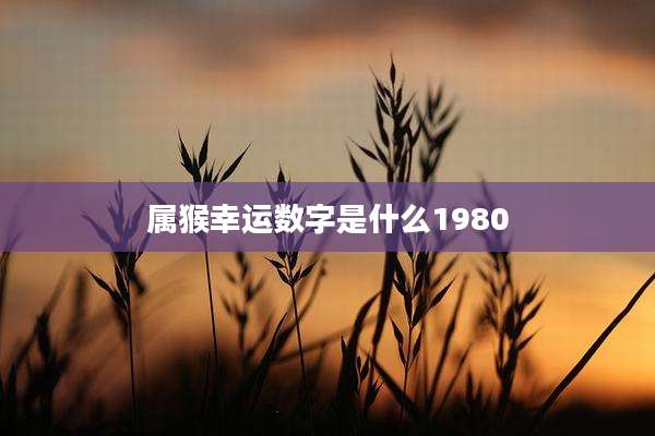 属猴幸运数字是什么1980