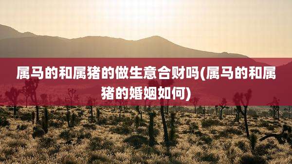 属马的和属猪的做生意合财吗(属马的和属猪的婚姻如何)