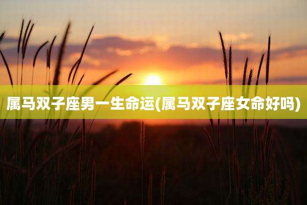 属马双子座男一生命运(属马双子座女命好吗)