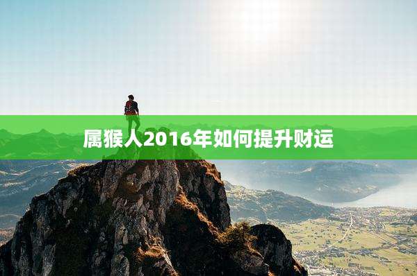 属猴人2016年如何提升财运