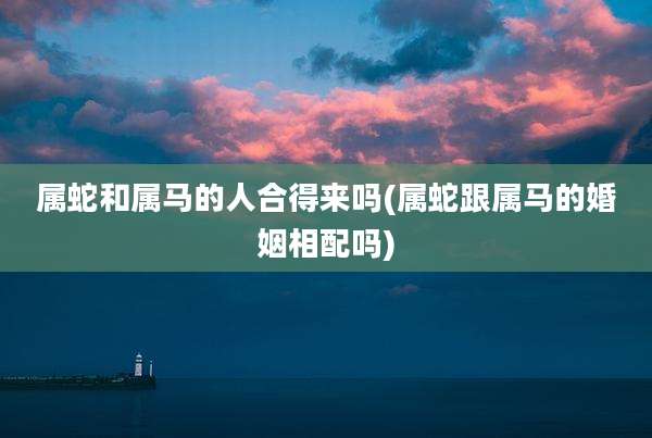 属蛇和属马的人合得来吗(属蛇跟属马的婚姻相配吗)