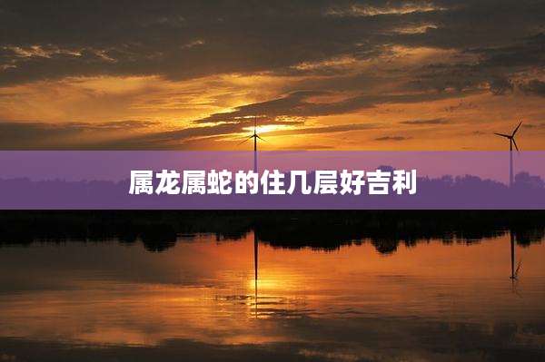 属龙属蛇的住几层好吉利