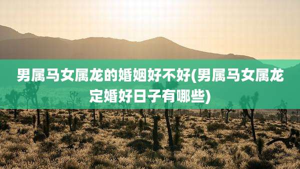 男属马女属龙的婚姻好不好(男属马女属龙定婚好日子有哪些)