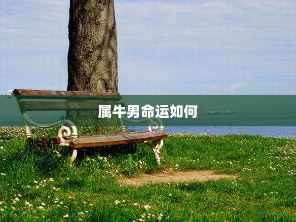 属牛男命运如何