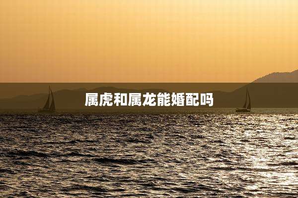 属虎和属龙能婚配吗