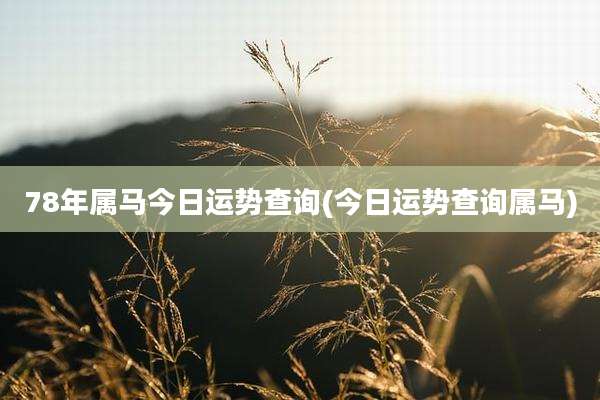 78年属马今日运势查询(今日运势查询属马)