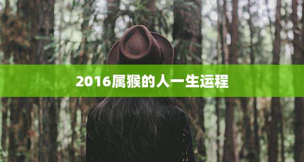 2016属猴的人一生运程