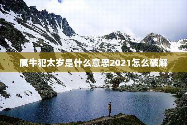 属牛犯太岁是什么意思2021怎么破解