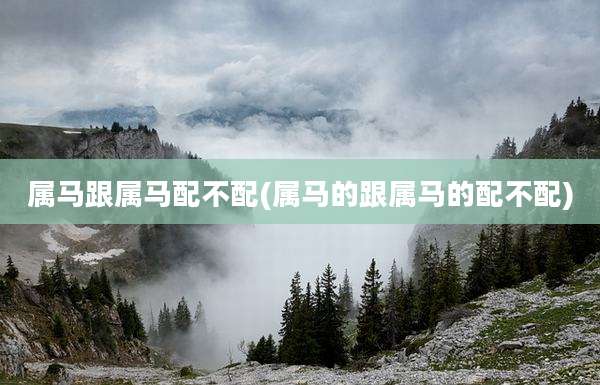 属马跟属马配不配(属马的跟属马的配不配)