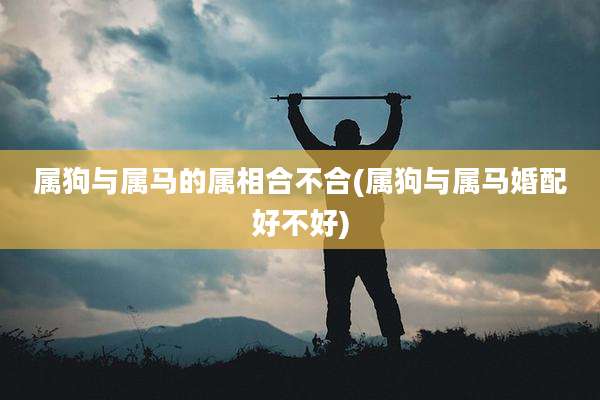 属狗与属马的属相合不合(属狗与属马婚配好不好)