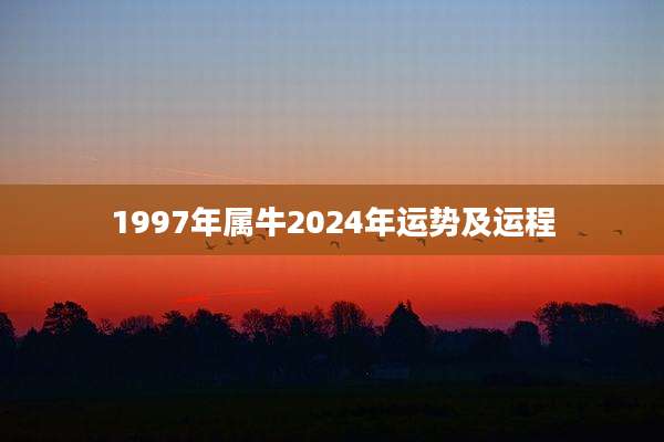 1997年属牛2024年运势及运程