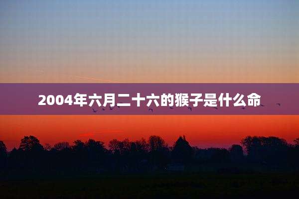 2004年六月二十六的猴子是什么命