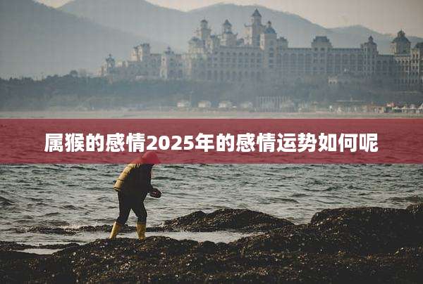属猴的感情2025年的感情运势如何呢