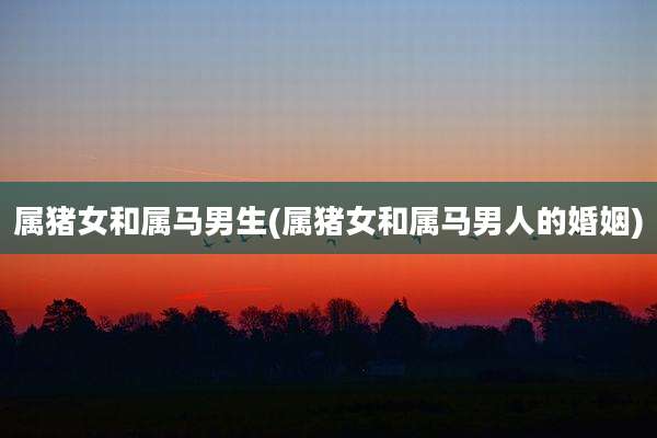 属猪女和属马男生(属猪女和属马男人的婚姻)