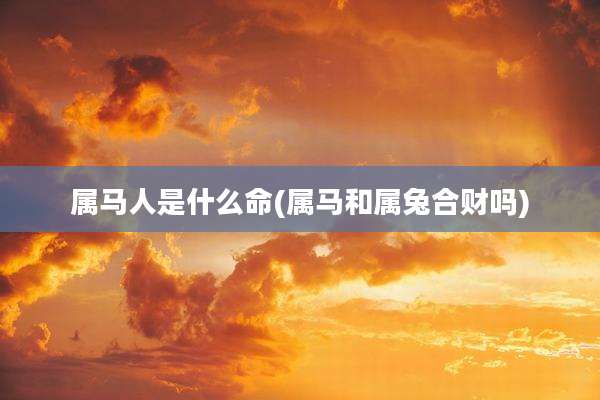 属马人是什么命(属马和属兔合财吗)