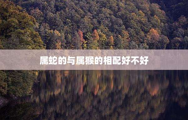 属蛇的与属猴的相配好不好