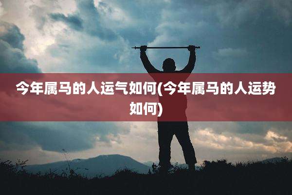 今年属马的人运气如何(今年属马的人运势如何)