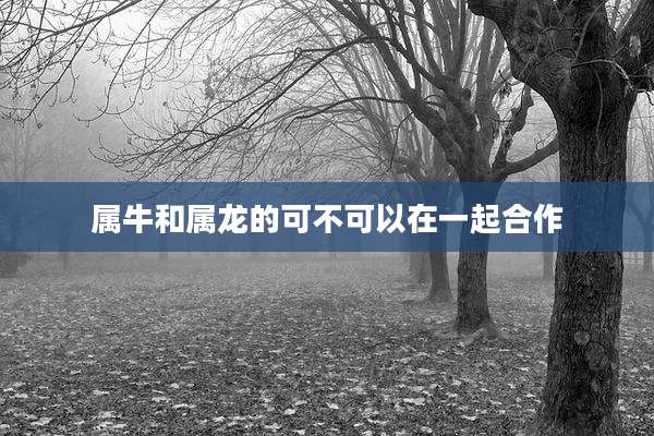 属牛和属龙的可不可以在一起合作