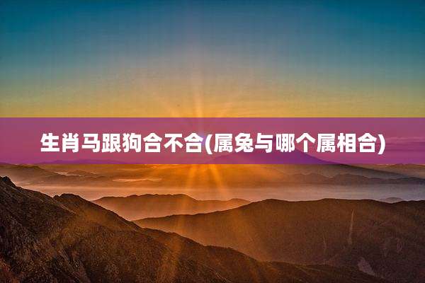 生肖马跟狗合不合(属兔与哪个属相合)