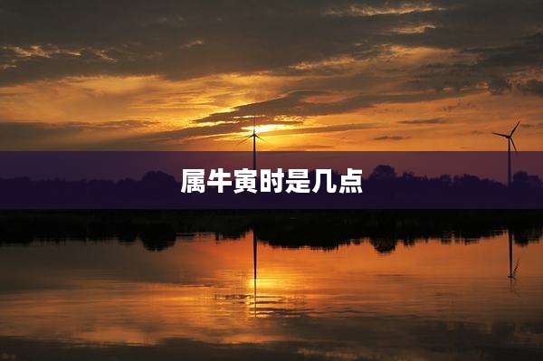 属牛寅时是几点