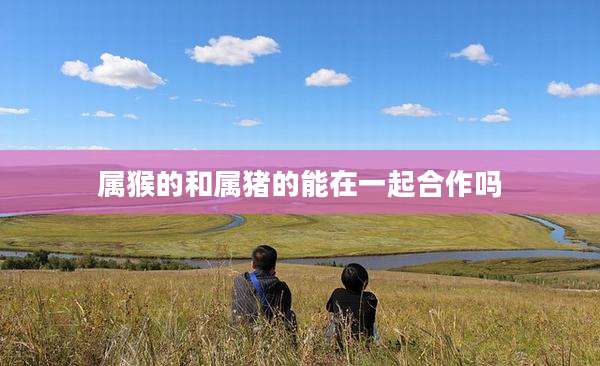 属猴的和属猪的能在一起合作吗