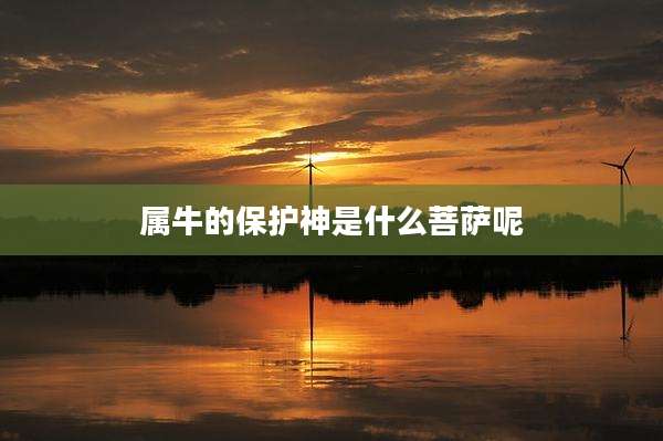 属牛的保护神是什么菩萨呢