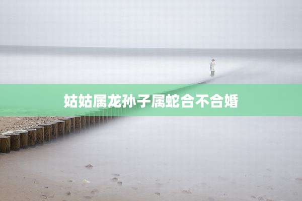 姑姑属龙孙子属蛇合不合婚