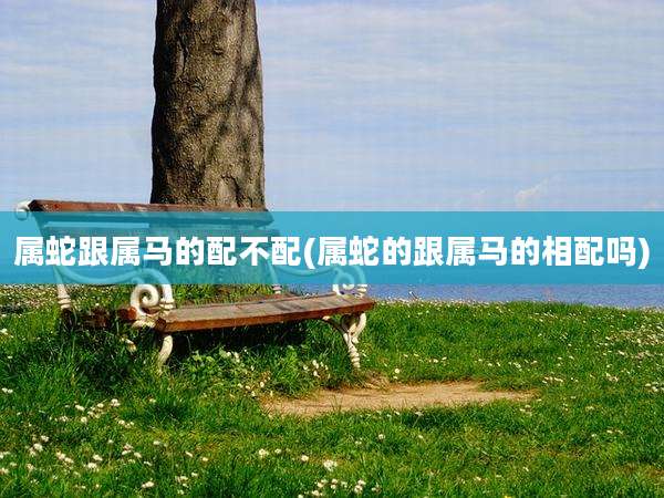 属蛇跟属马的配不配(属蛇的跟属马的相配吗)
