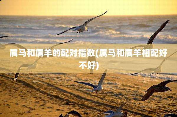 属马和属羊的配对指数(属马和属羊相配好不好)
