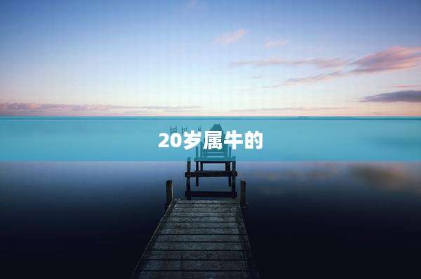 20岁属牛的