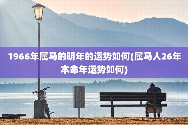 1966年属马的明年的运势如何(属马人26年本命年运势如何)