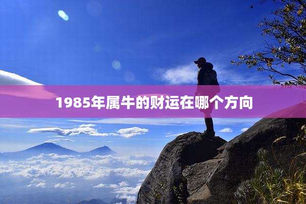 1985年属牛的财运在哪个方向