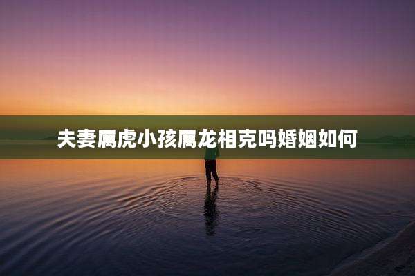 夫妻属虎小孩属龙相克吗婚姻如何